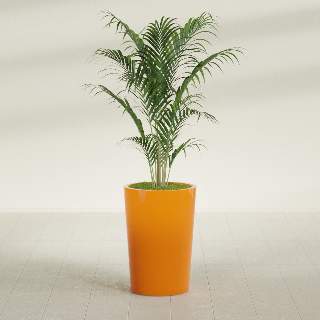 Tegel Round Tapered fiberglass planter in Gloss Tangerine, shown planted, in a sunlit interior