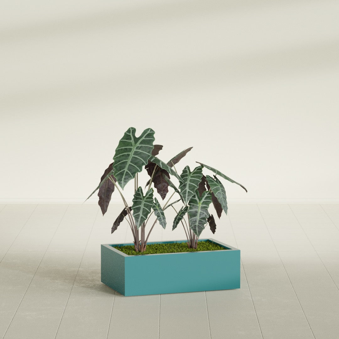Antwerp rectangular fiberglass planter in Satin Sea Foam, planted, in a sunlit interior
