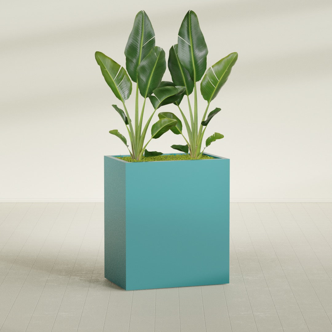 Darwin rectangular fiberglass planter, planted, in a sunlit interior