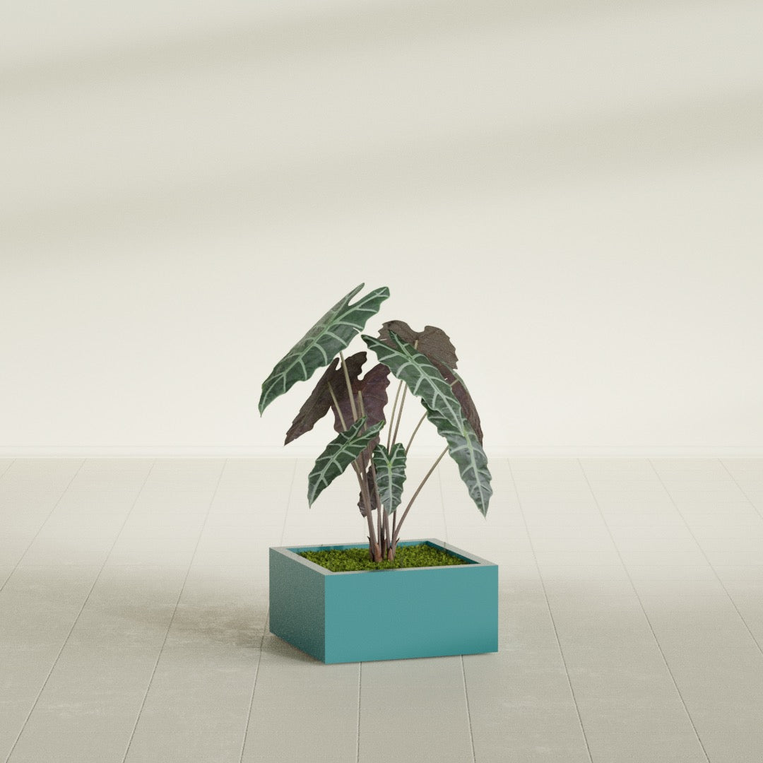 Antwerp corner fiberglass planter in Satin Seafoam Green, planted, in a sunlit interior