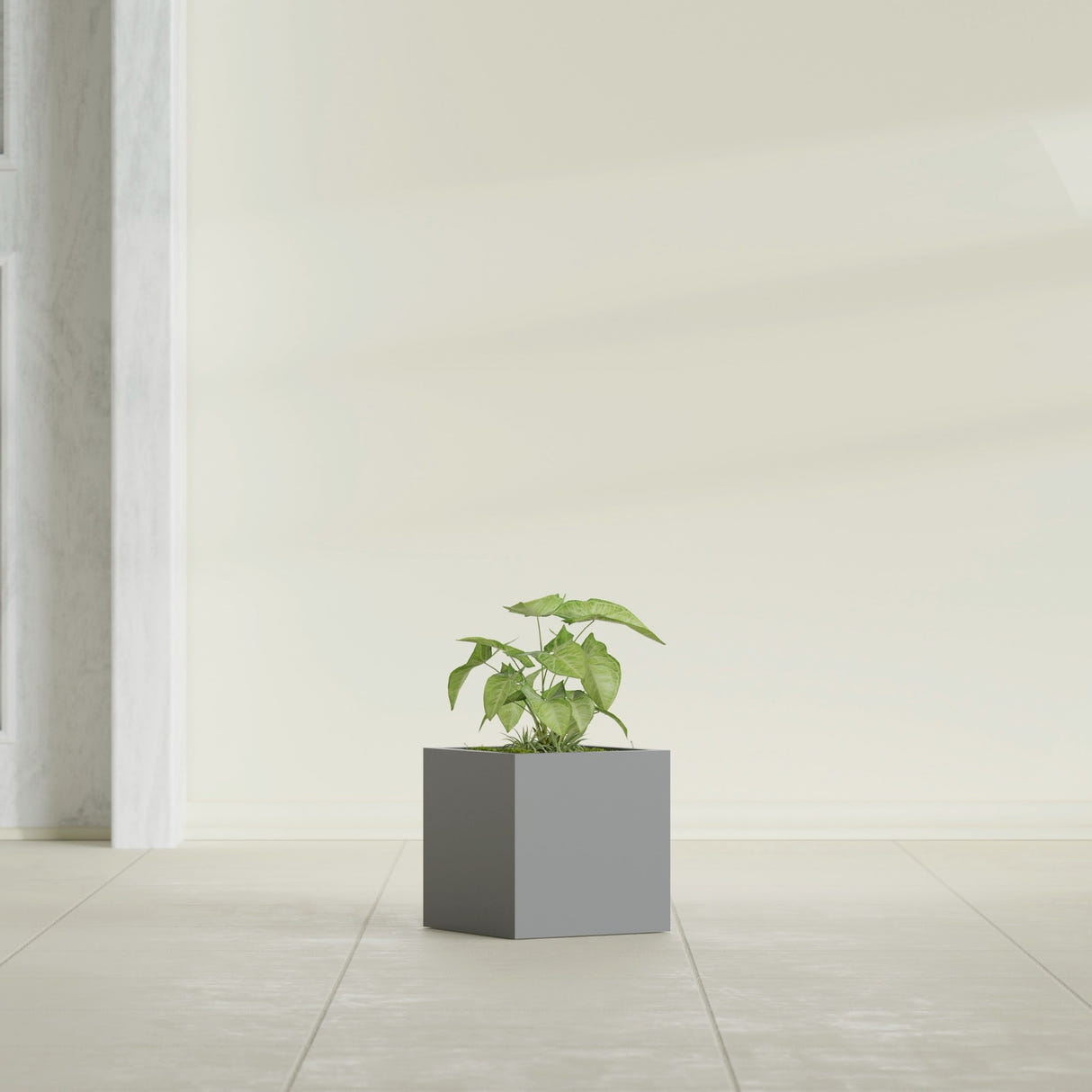 Monaco Cube fiberglass planter in Matte Gunmetal, shown planted, in a sunlit interior