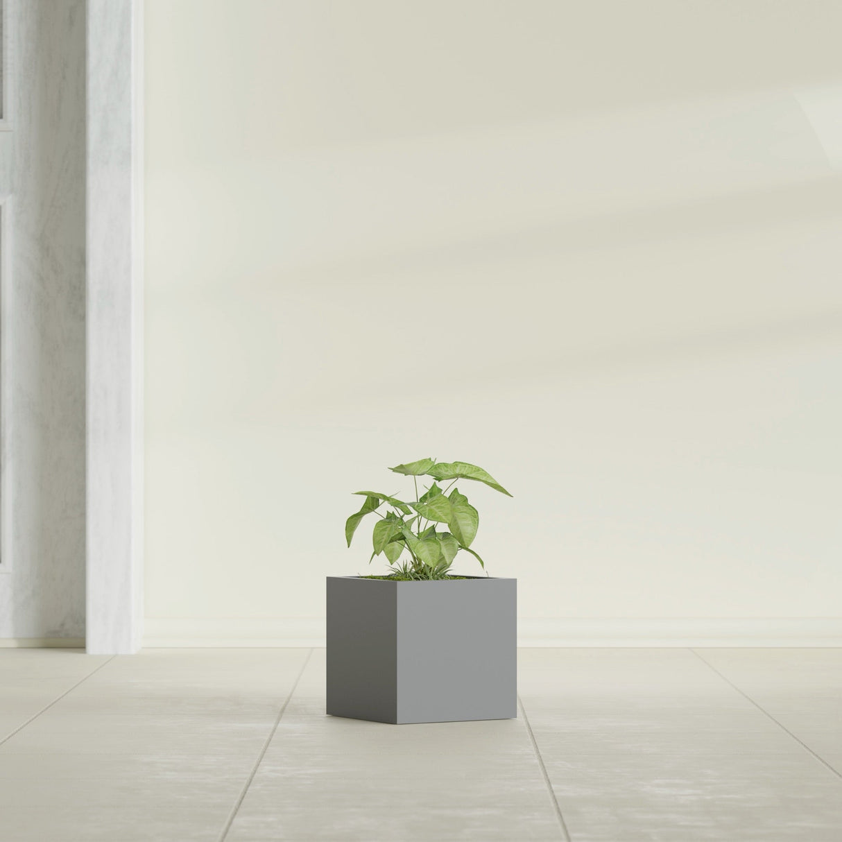 Monaco Cube fiberglass planter in Matte Gunmetal, shown planted, in a sunlit interior