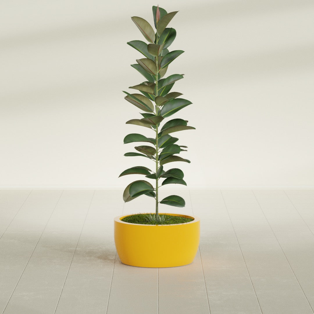 Casablanca Bowl fiberglass planter in Gloss Saffron, shown planted, in a sunlit interior