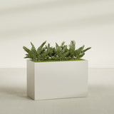 Brisbane Rectangular fiberglass planter in Satin Beige, shown planted, in a sunlit interior