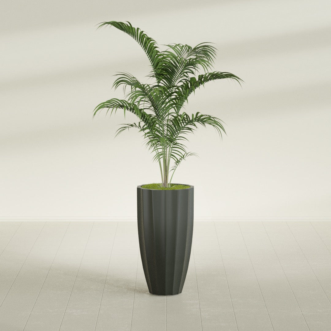 San Jose Tall Fluted fiberglass planter in Matte Charcoal, shown planted, in a sunlit interior