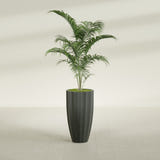 San Jose Tall Fluted fiberglass planter in Matte Charcoal, shown planted, in a sunlit interior