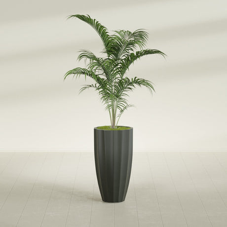 San Jose Tall Fluted fiberglass planter in Matte Charcoal, shown planted, in a sunlit interior