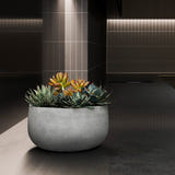 Mondo Low round Cosapots fiberglass planter, shown planted with succulents in a lit interior.