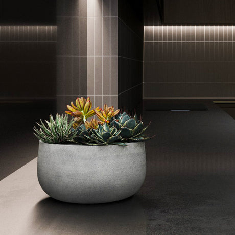 Mondo Low round Cosapots fiberglass planter, shown planted with succulents in a lit interior.