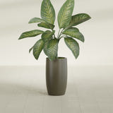 Lisbon Tall Round fiberglass planter in Matte Bronze, shown planted, in a sunlit interior