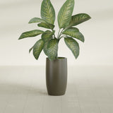 Lisbon Tall Round fiberglass planter in Matte Bronze, shown planted, in a sunlit interior