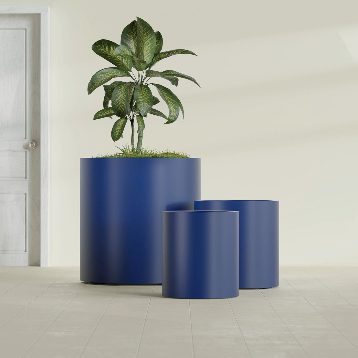 Rio Grande Cylinder fiberglass planter in Matte Cobalt Blue, size range, in a sunlit interior