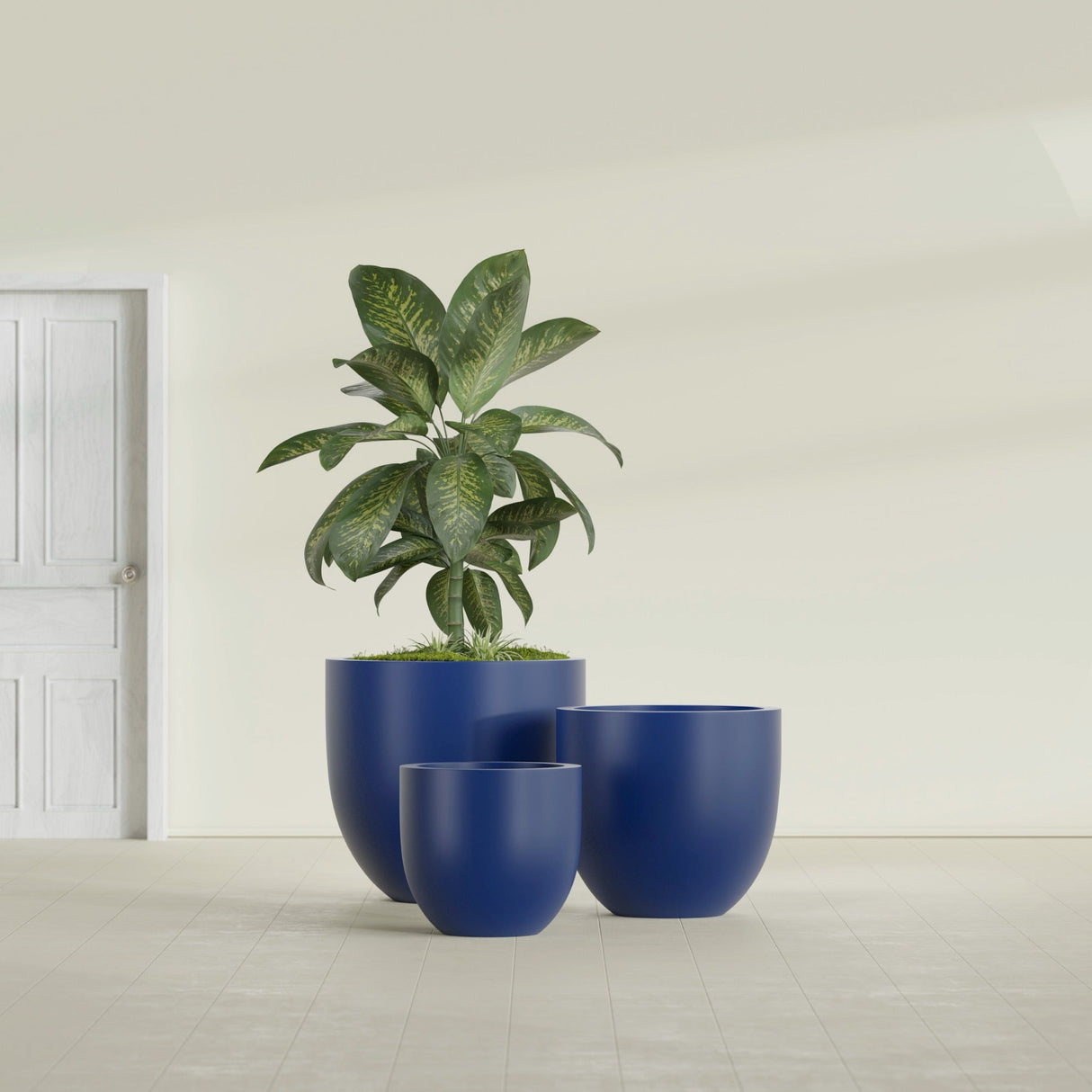 Alzira Bowl fiberglass planter in Matte Cobalt Blue, size range, in a sunlit interior