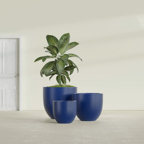 Alzira Bowl fiberglass planter in Matte Cobalt Blue, size range, in a sunlit interior