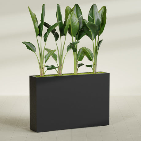 Amesbury Narrow fiberglass planter in Matte Black, planted, in a sunlit interior