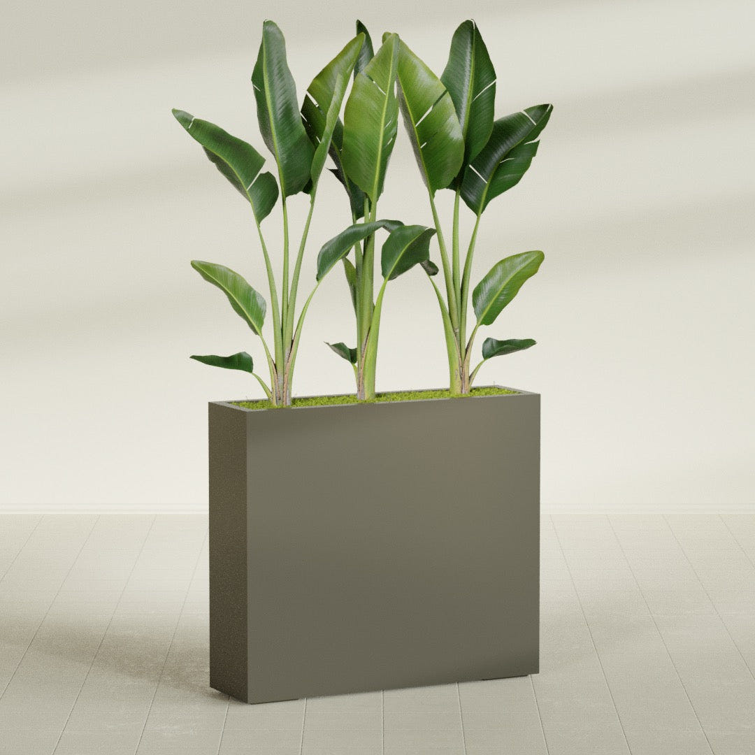 Amesbury Narrow Rectangular fiberglass planter in Matte Bronze, shown planted, in a sunlit interior