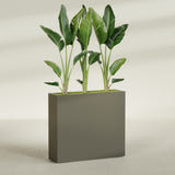 Amesbury Narrow Rectangular fiberglass planter in Matte Bronze, shown planted, in a sunlit interior