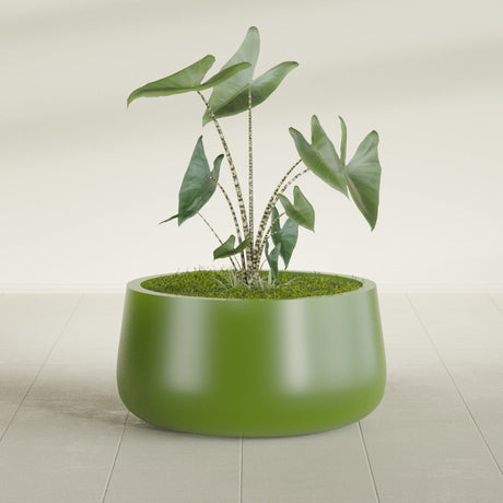 Short Hayden Bowl fiberglass planter in Satin Green, planted, in a sunlit interior