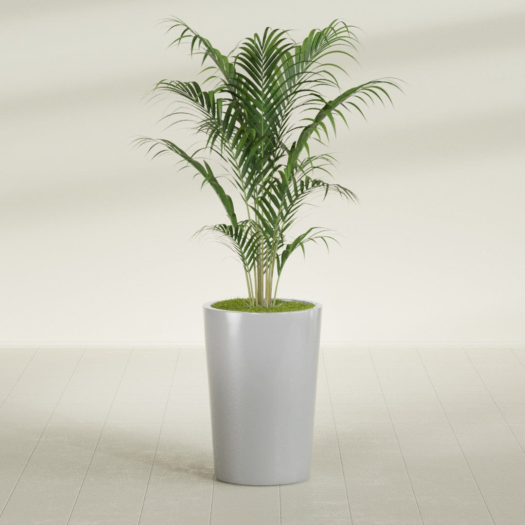 Tegel Round Tapered fiberglass planter in Metallic Silver, shown planted, in a sunlit interior