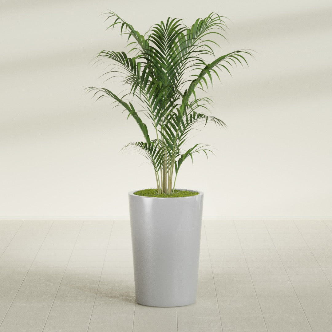Tegel Round Tapered fiberglass planter in Metallic Silver, shown planted, in a sunlit interior