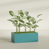 Torino Wide Rectangular fiberglass planter in Satin Seafoam Green, shown planted, in a sunlit interior
