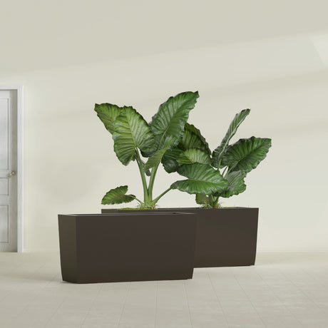 Panama Tapered Rectangular fiberglass planter in Matte Dark Brown, shown planted, in a sunlit interior