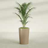 Tegel Round Tapered fiberglass planter in Gloss Metallic Gold, shown planted, in a sunlit interior