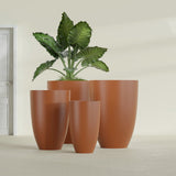 Brannan Tapered Round fiberglass planter in Matte Terra Cotta, size range, in a sunlit interior