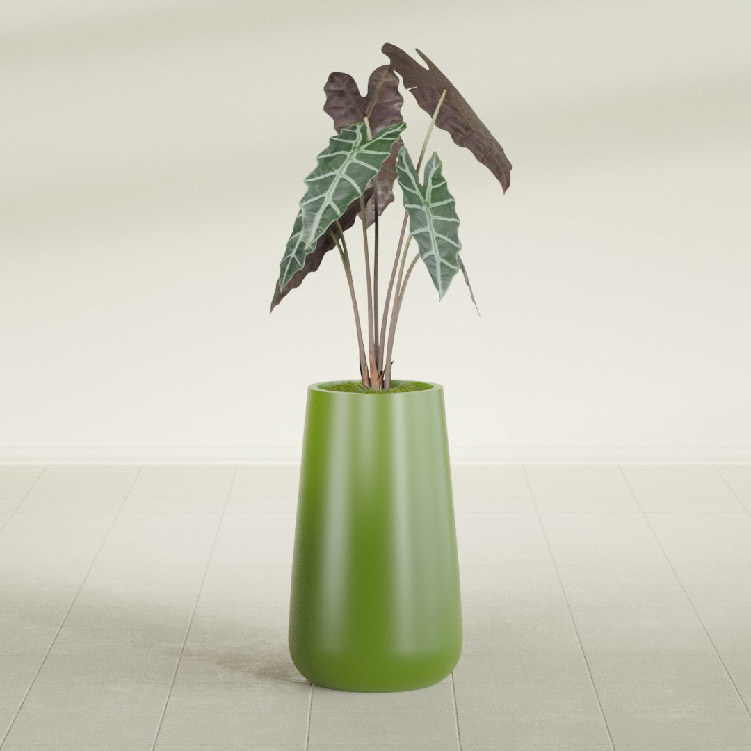 Saigon Tapered Round fiberglass planter in Satin Green, shown planted, in a sunlit interior