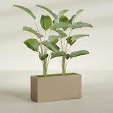 Tolga Rectangular fiberglass planter in Gloss Metallic Gold, shown planted, in a sunlit interior
