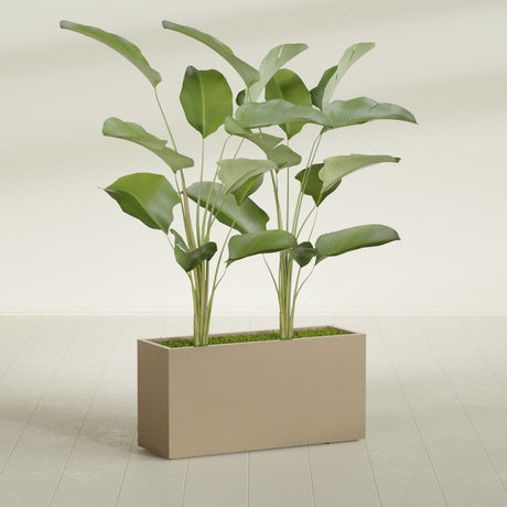Tolga Rectangular fiberglass planter in Gloss Metallic Gold, shown planted, in a sunlit interior