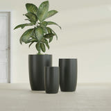 Lisbon Tall Round fiberglass planter in Matte Charcoal, size range, in a sunlit interior