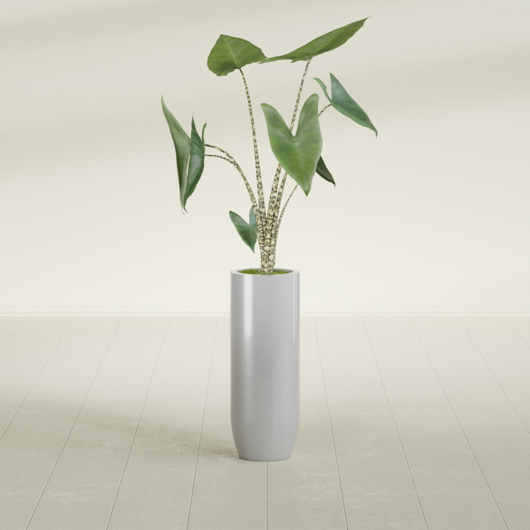 Saint Tropez Bullet Round fiberglass planter in Metallic Silver, shown planted, in a sunlit interior