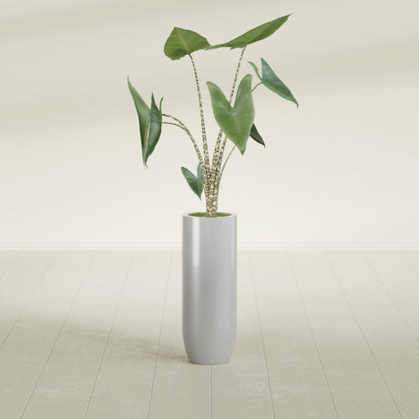 Saint Tropez Bullet Round fiberglass planter in Metallic Silver, shown planted, in a sunlit interior