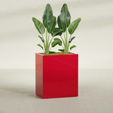 Darwin rectangular fiberglass planter in Gloss Red, planted, in a sunlit interior