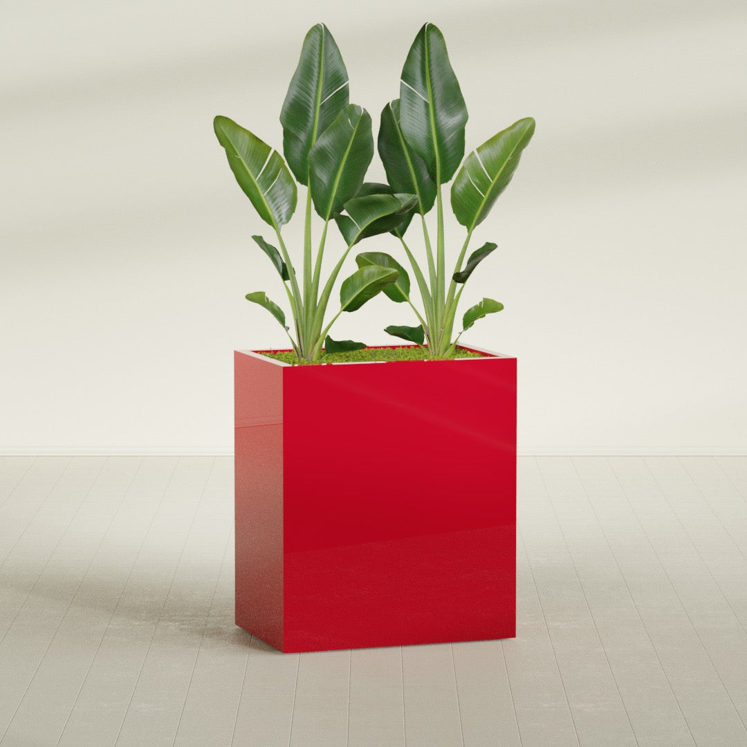 Darwin rectangular fiberglass planter in Gloss Red, planted, in a sunlit interior