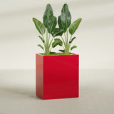 Darwin rectangular fiberglass planter in Gloss Red, planted, in a sunlit interior
