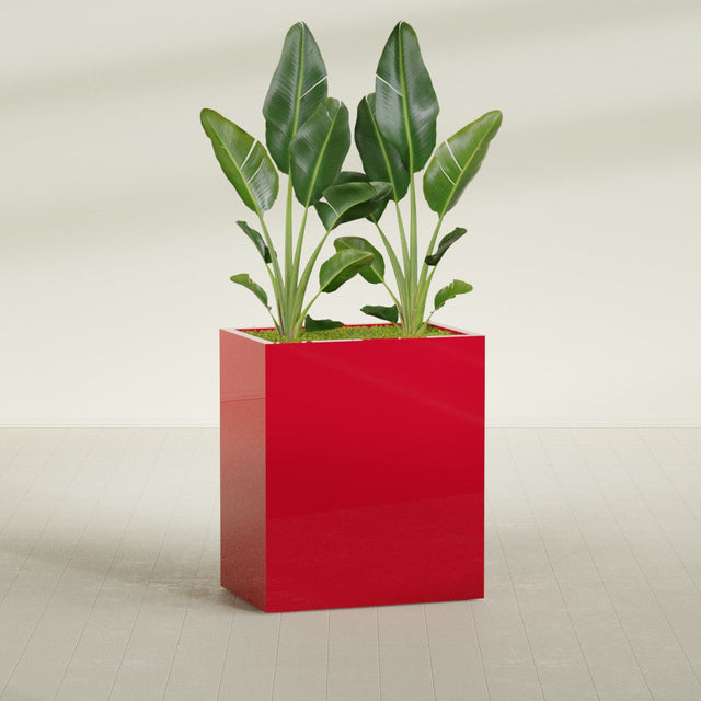 Darwin rectangular fiberglass planter in Gloss Red, planted, in a sunlit interior