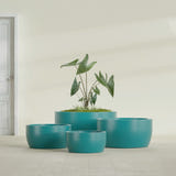 Casablanca Bowl fiberglass planter in Satin Seafoam Green, size range, in a sunlit interior