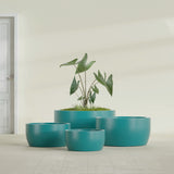 Casablanca Bowl fiberglass planter in Satin Seafoam Green, size range, in a sunlit interior