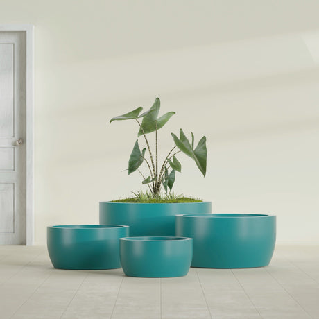 Casablanca Bowl fiberglass planter in Satin Seafoam Green, size range, in a sunlit interior
