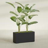 Tolga Corner fiberglass planter in Matte Black, shown planted, in a sunlit interior