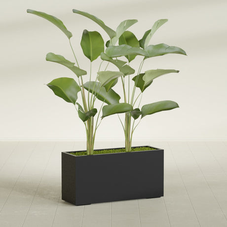 Tolga Corner fiberglass planter in Matte Black, shown planted, in a sunlit interior