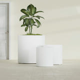 Rio Grande Cylinder fiberglass planter in Matte Bright White, size range, in a sunlit interior