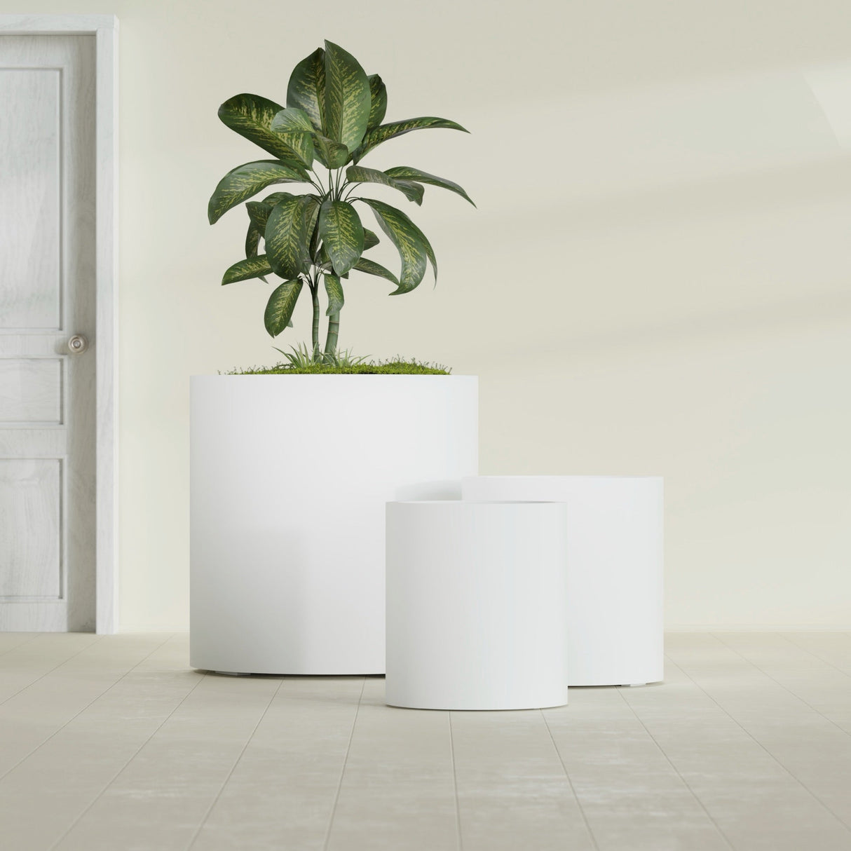 Rio Grande Cylinder fiberglass planter in Matte Bright White, size range, in a sunlit interior