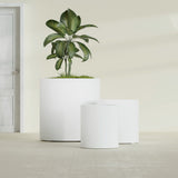 Rio Grande Cylinder fiberglass planter in Matte Bright White, size range, in a sunlit interior