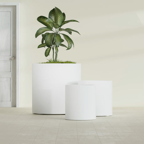 Rio Grande Cylinder fiberglass planter in Matte Bright White, size range, in a sunlit interior