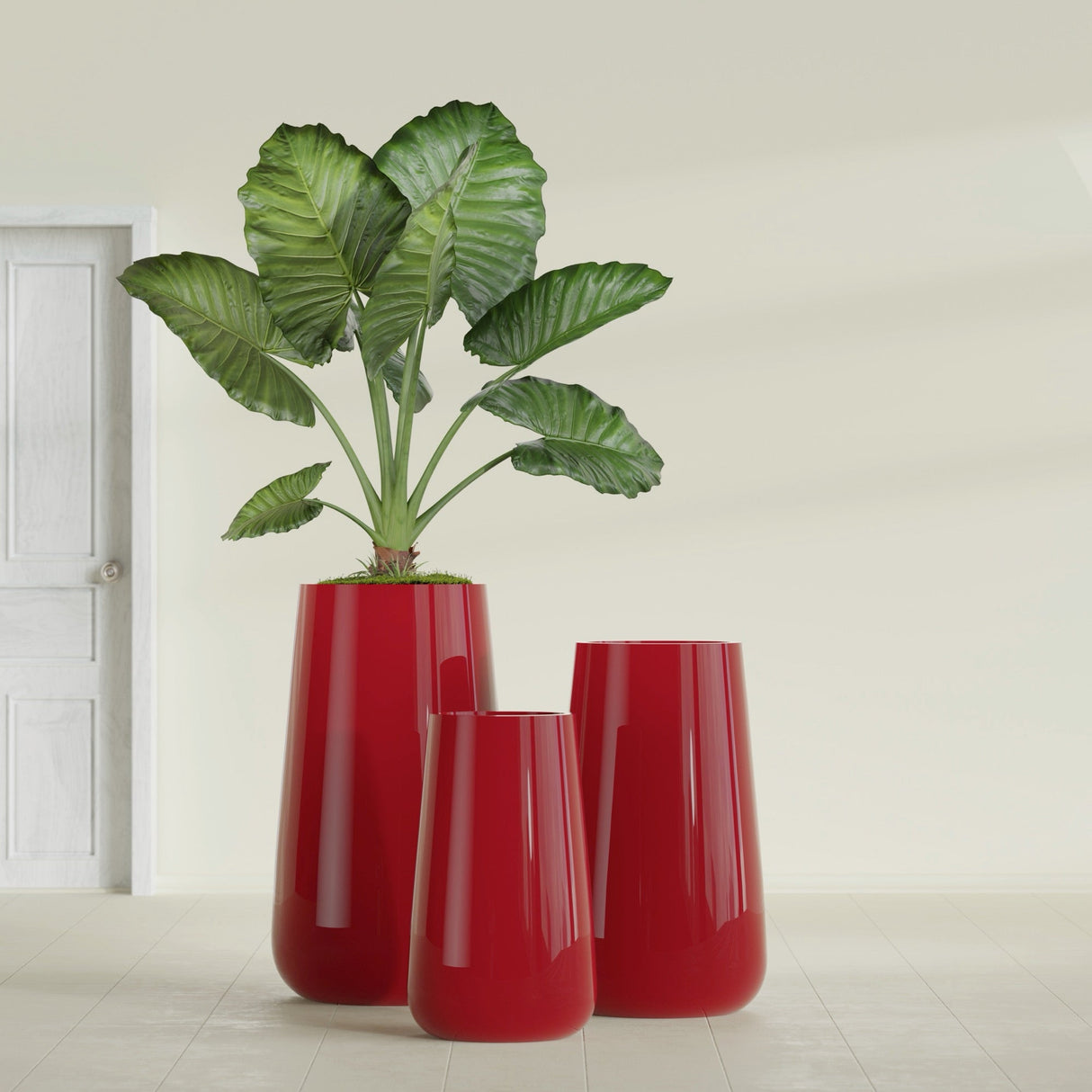 Saigon Tapered Round fiberglass planter in Gloss Red, size range, in a sunlit interior