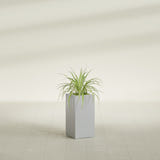 Hollywood Narrow Rectangular fiberglass planter in Metallic Silver, shown planted, in a sunlit interior