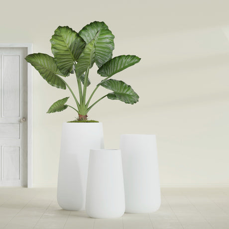 Saigon Tapered Round fiberglass planter in Matte Bright White, size range, in a sunlit interior